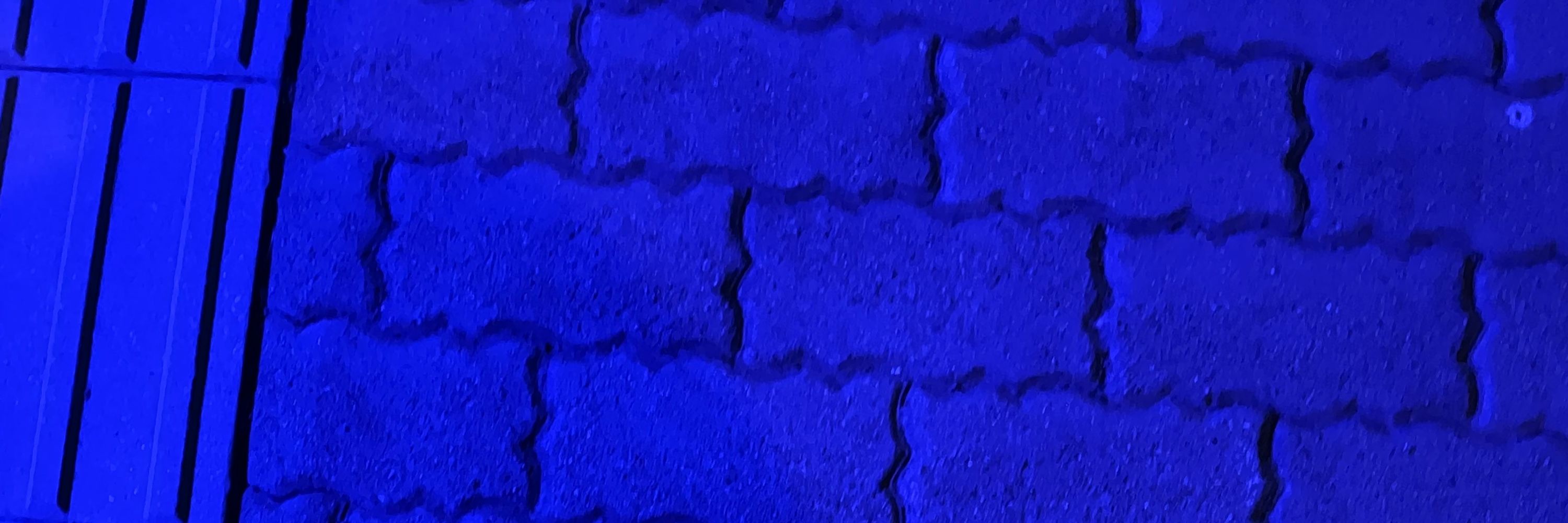 蒼場那瑠璃