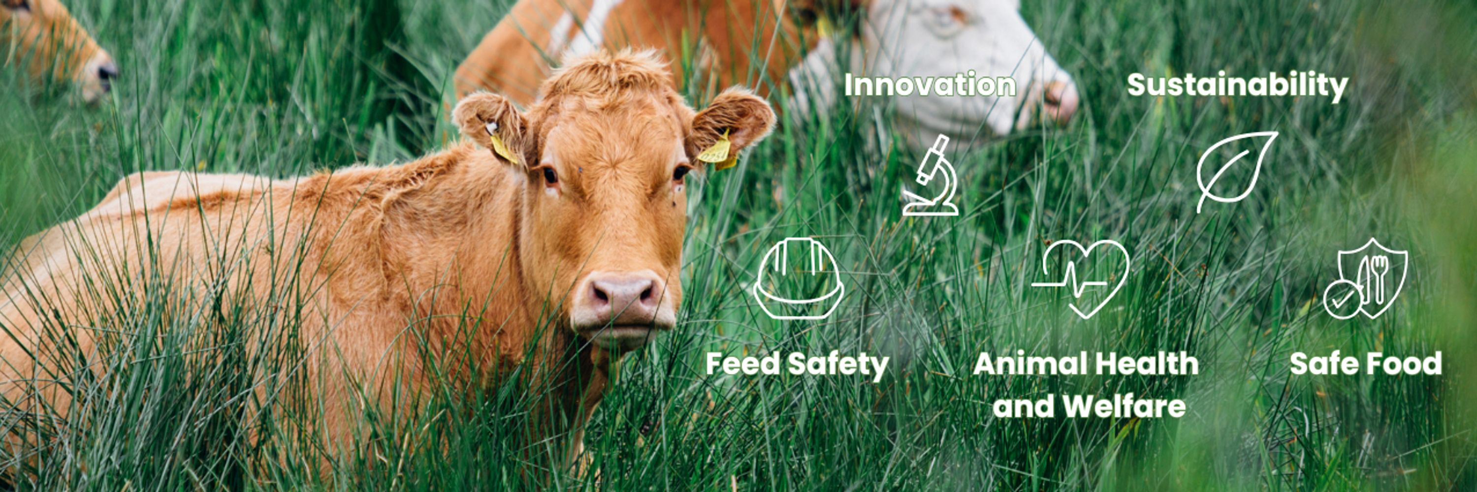 FEFANA - Specialty Feed Ingredients