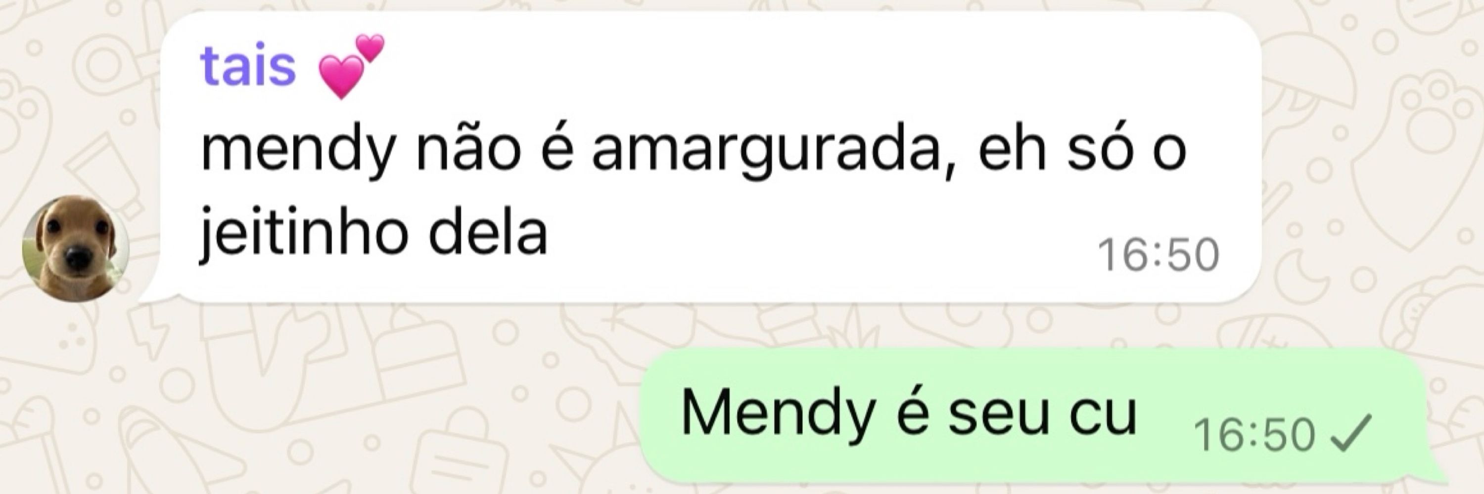 cão mongrelo 🐶 vante gf