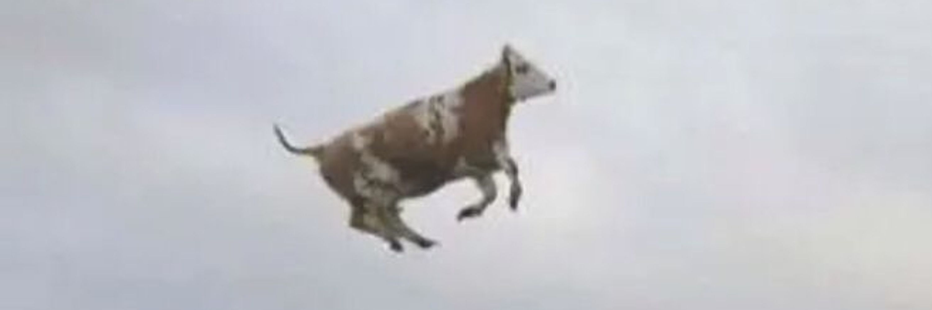 Koduro