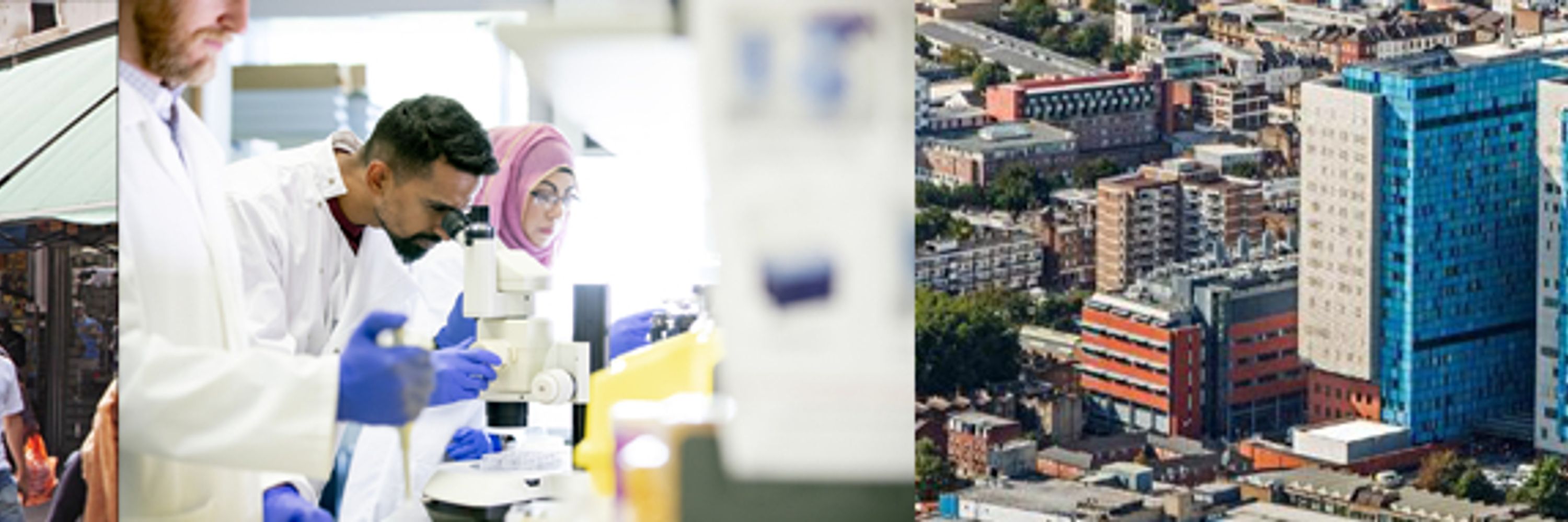 Queen Mary Faculty of Medicine & Dentistry