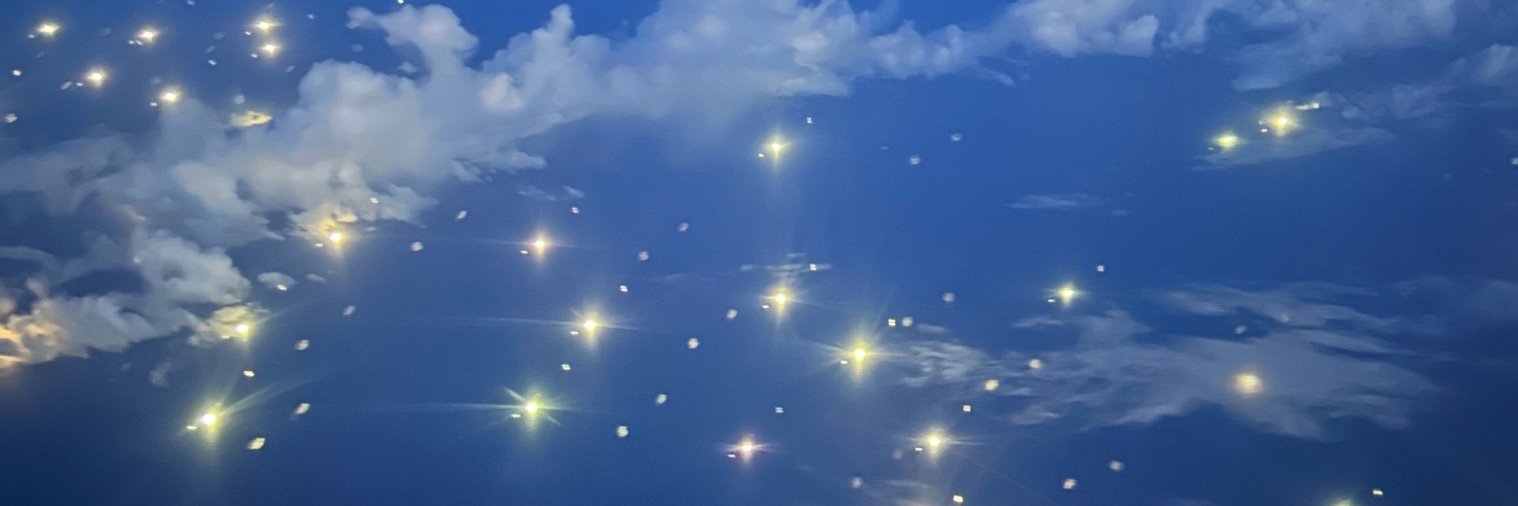 薄雲鼠