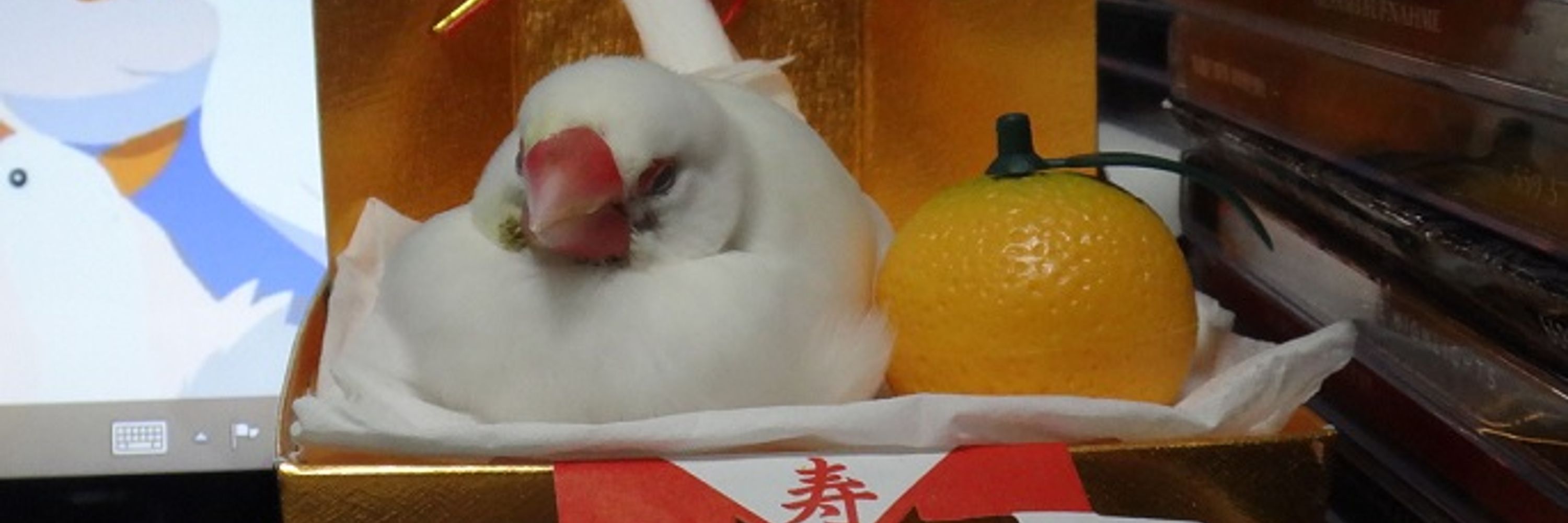 むりゃ