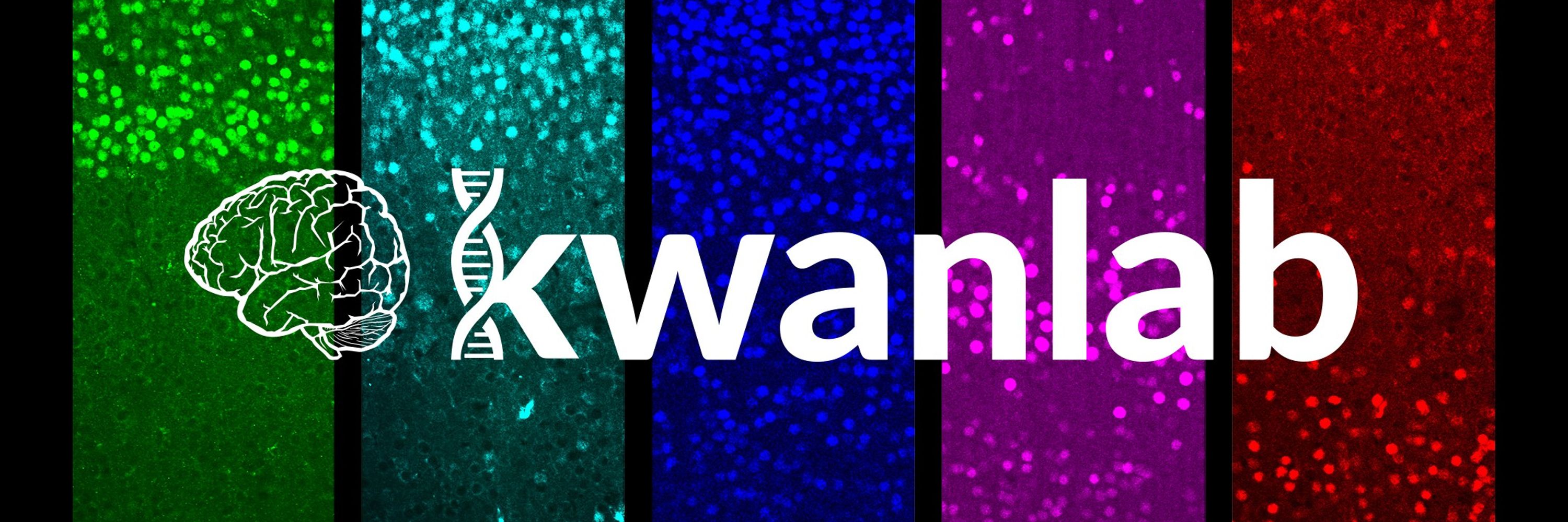 Ken Kwan 🧠🔬🧬💻