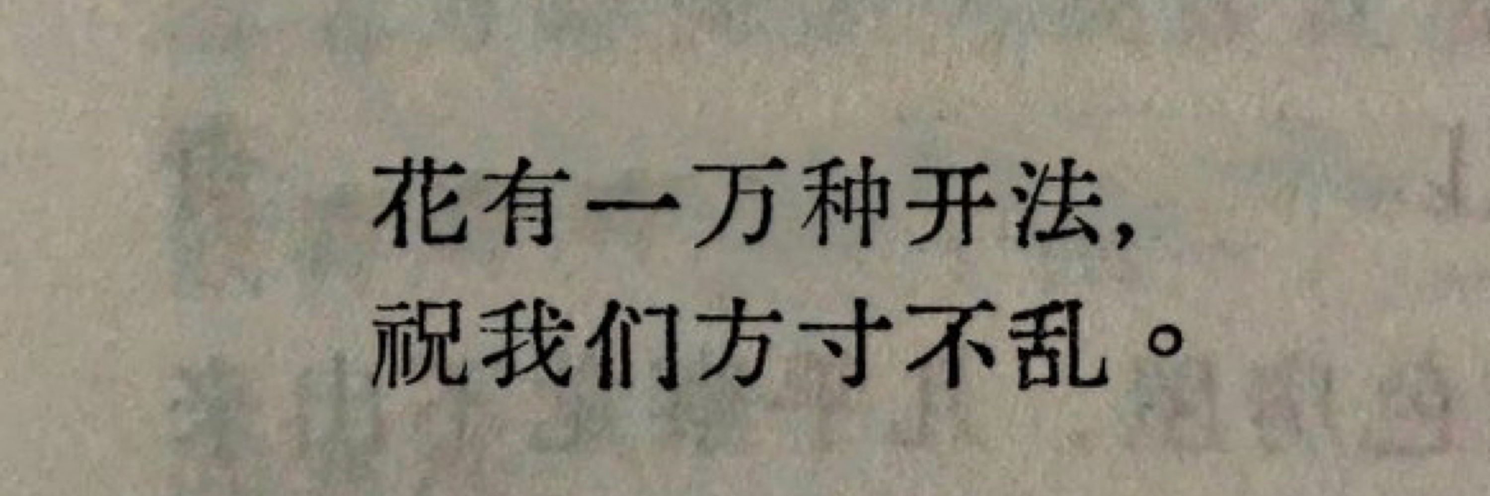 桔梗-互推