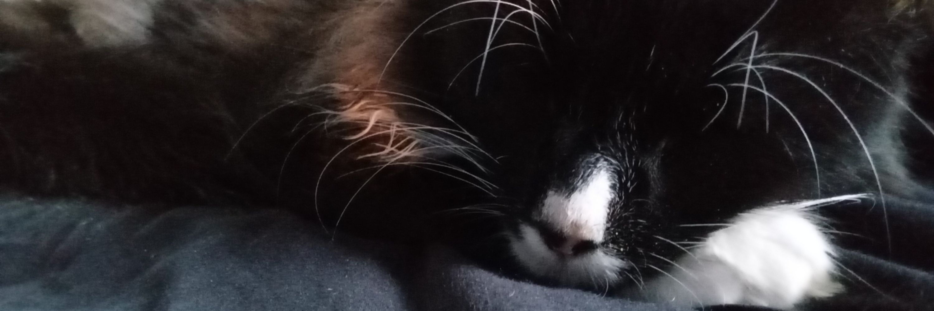 <3