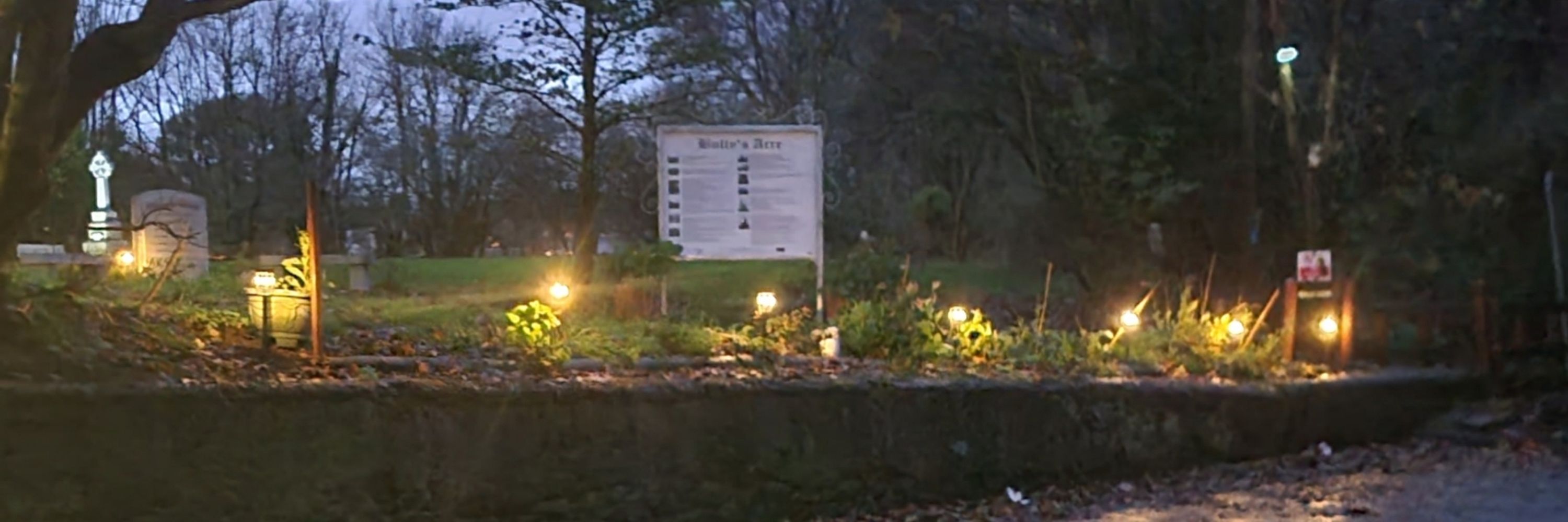 Bob Timmermans video from Ireland 