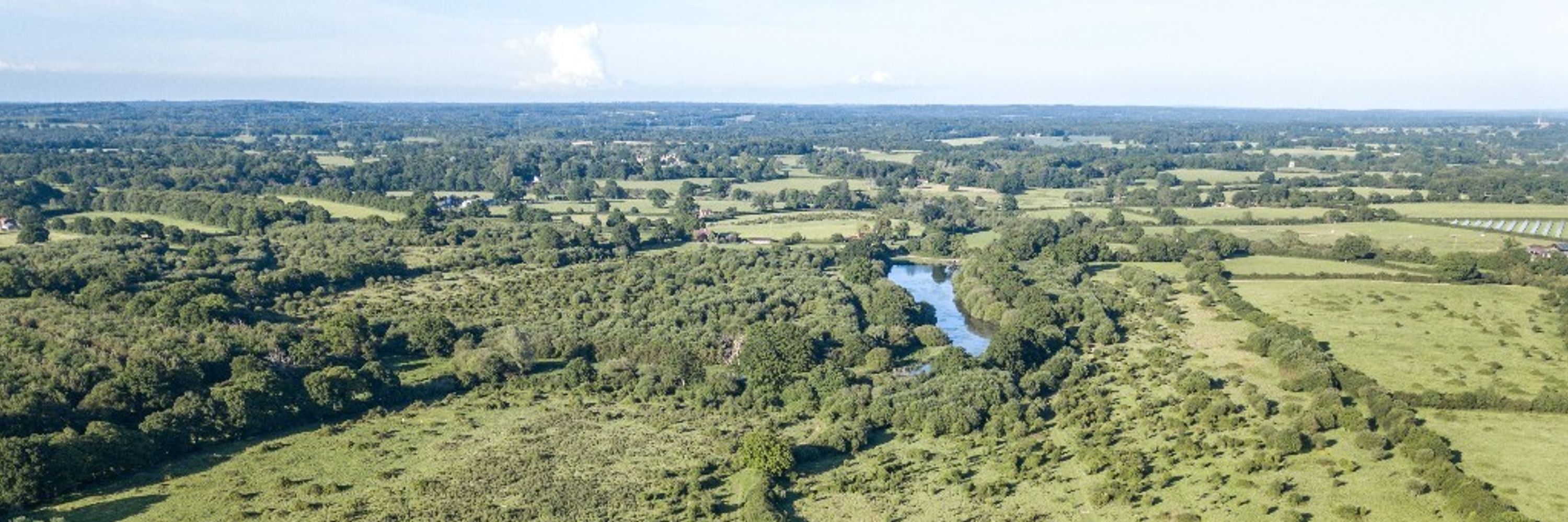 Weald to Waves