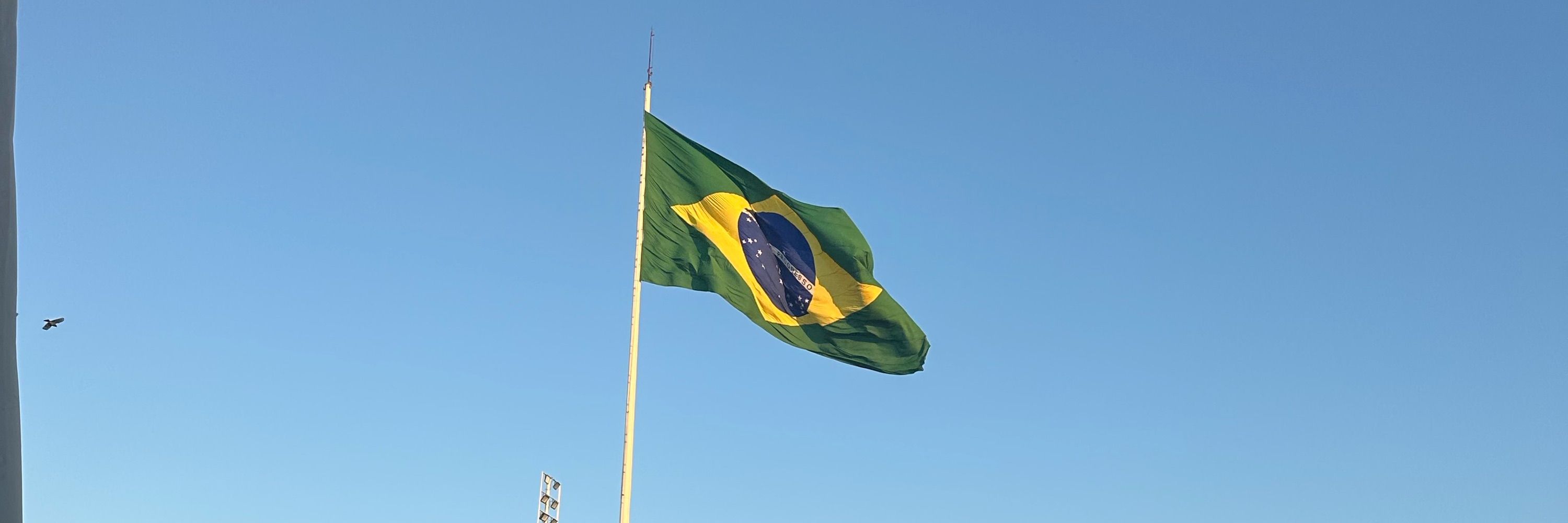 Bárbara