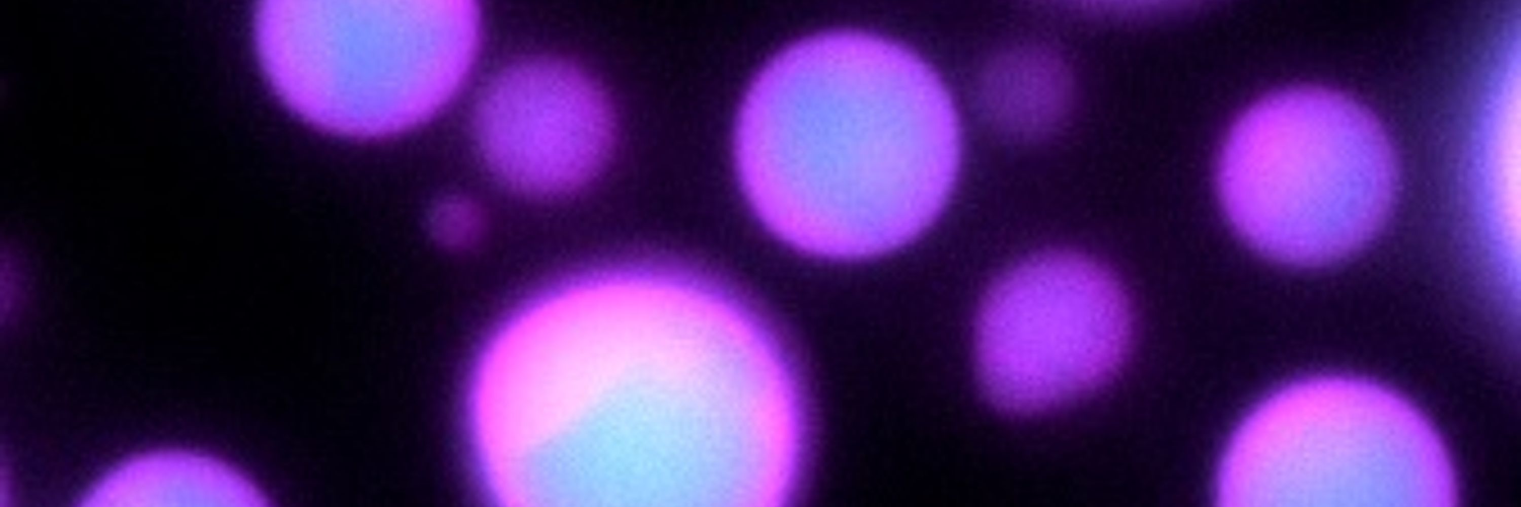 Alberti Lab @ TU Dresden