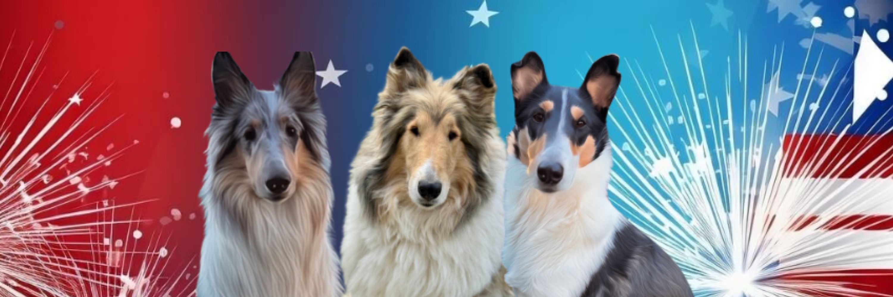 Collie Mama