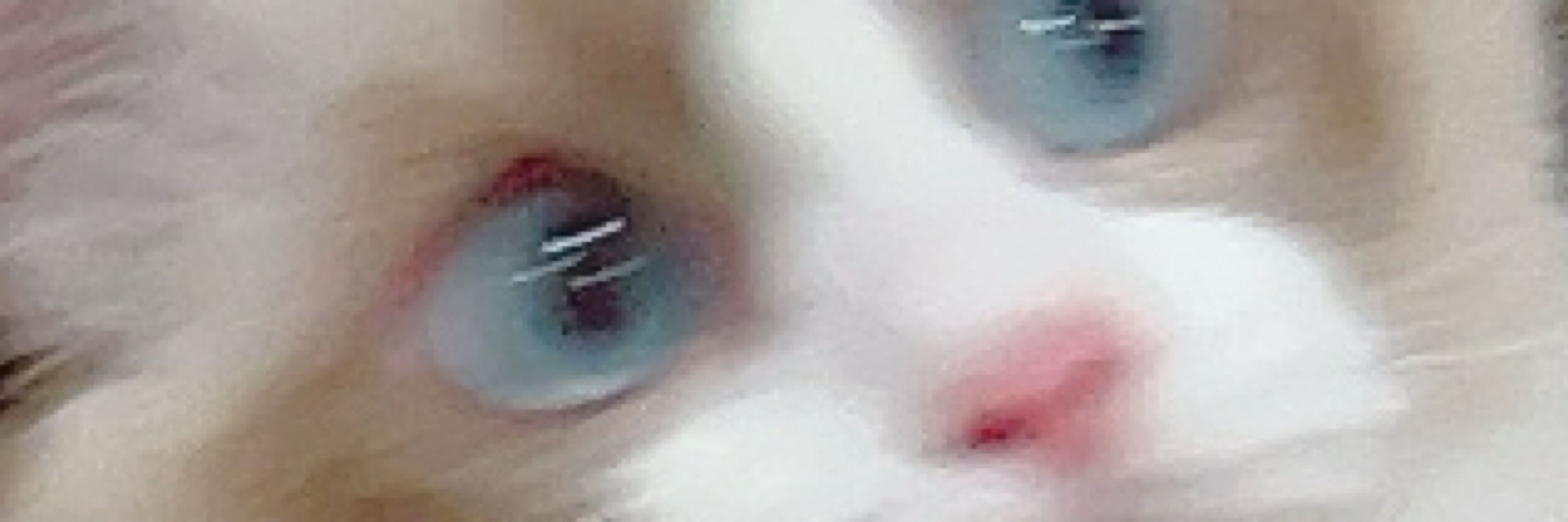 ♡ちぽみるく♡