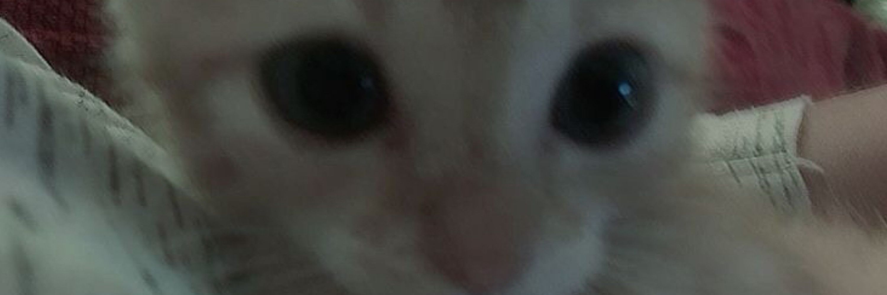 ͏