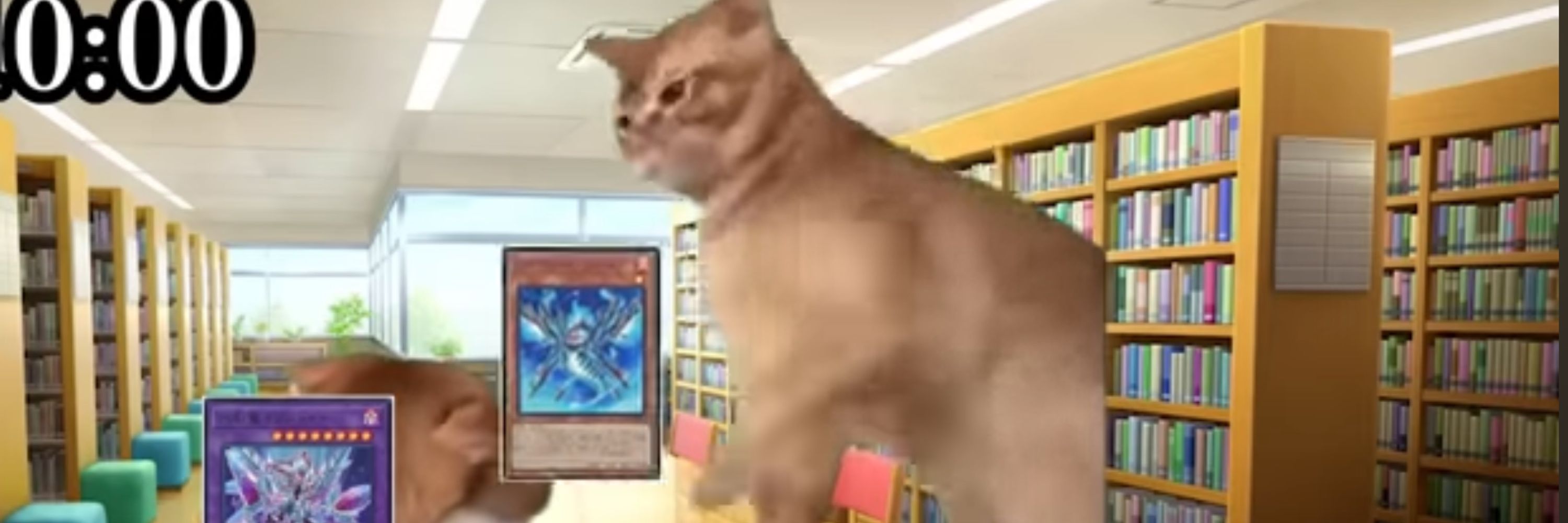 タッピー
