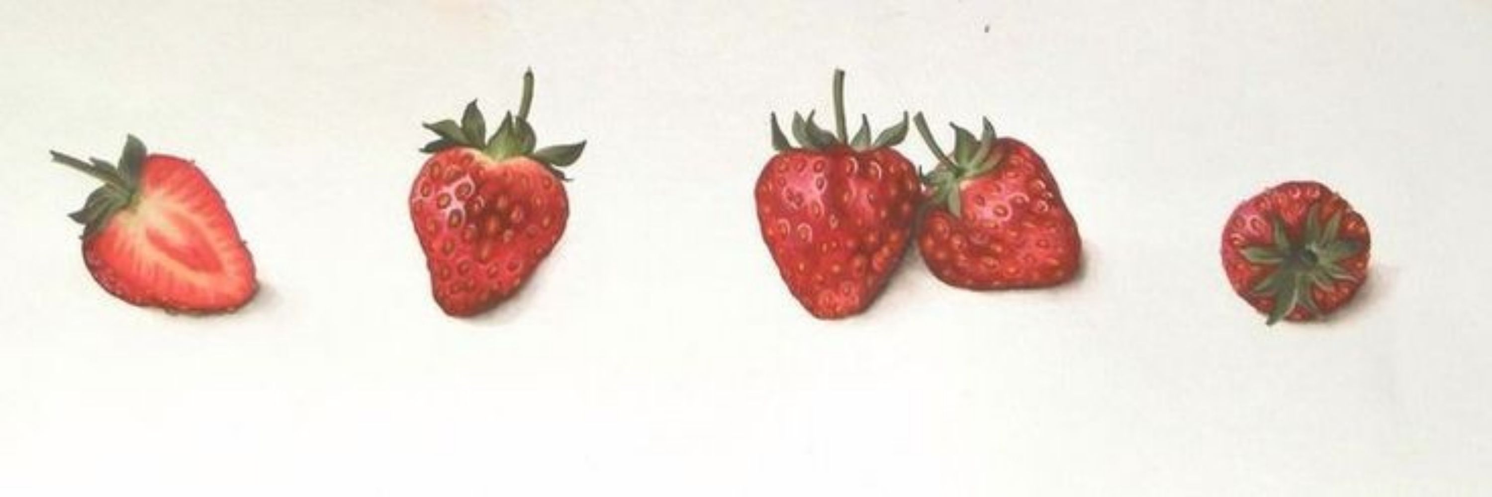 cherrч  ᮫  𖥻 ֺ🍒 ᮫    |  𝗠𝗢𝗡𝗦𝗧𝗜𝗘𝗭⁷
