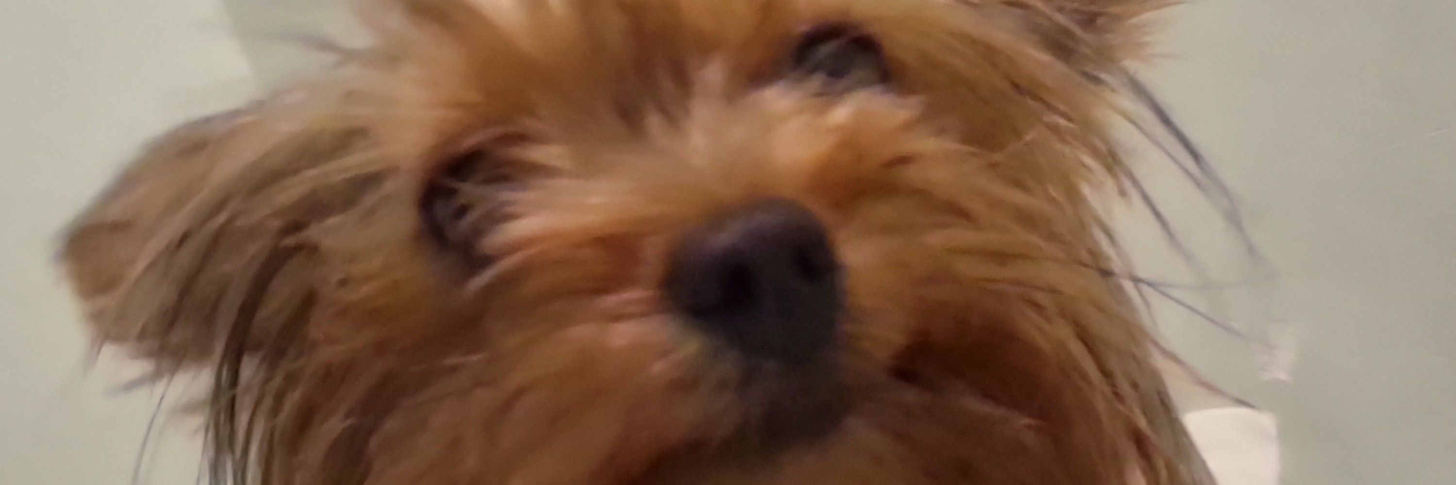A.