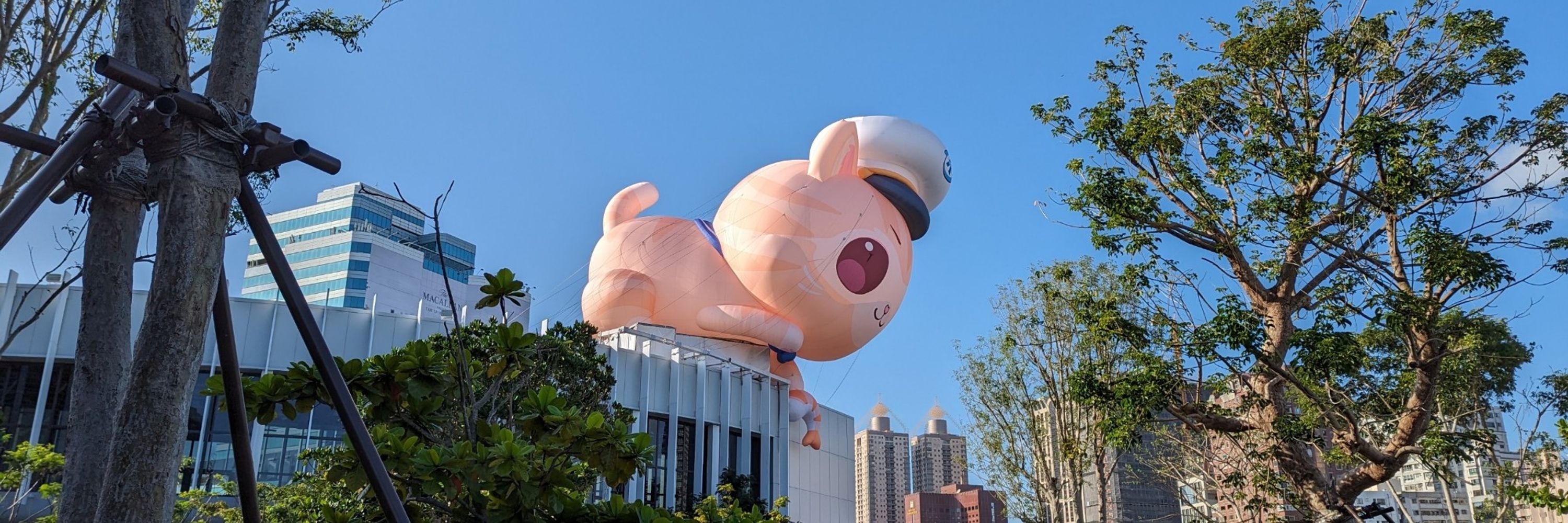 猫尾(テイル)