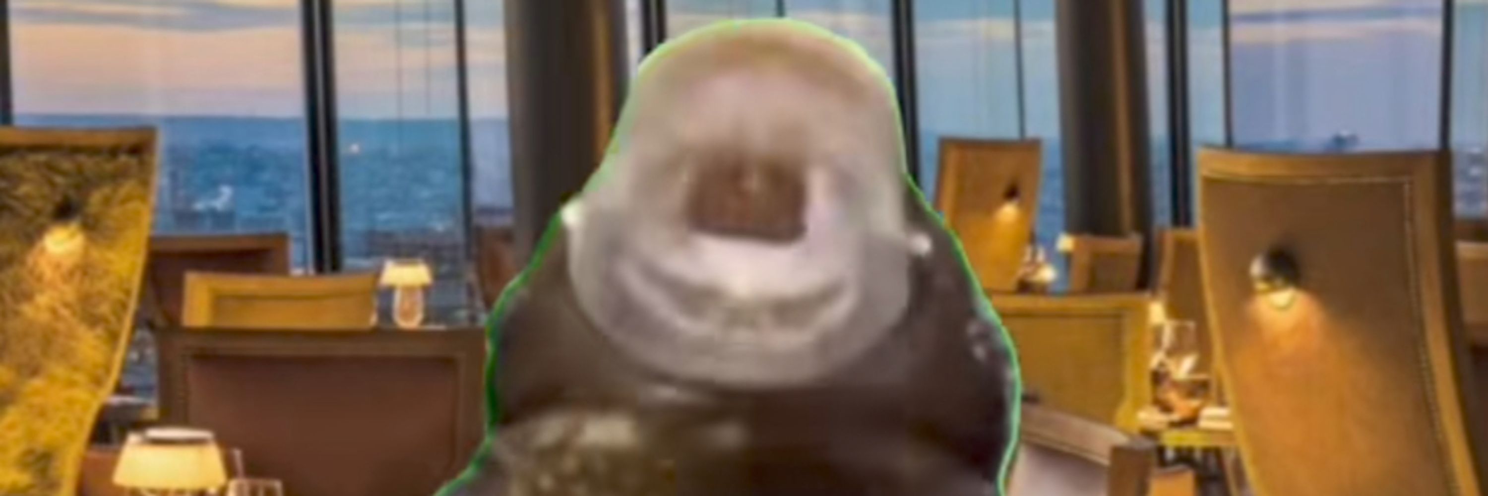 Stygosaurus