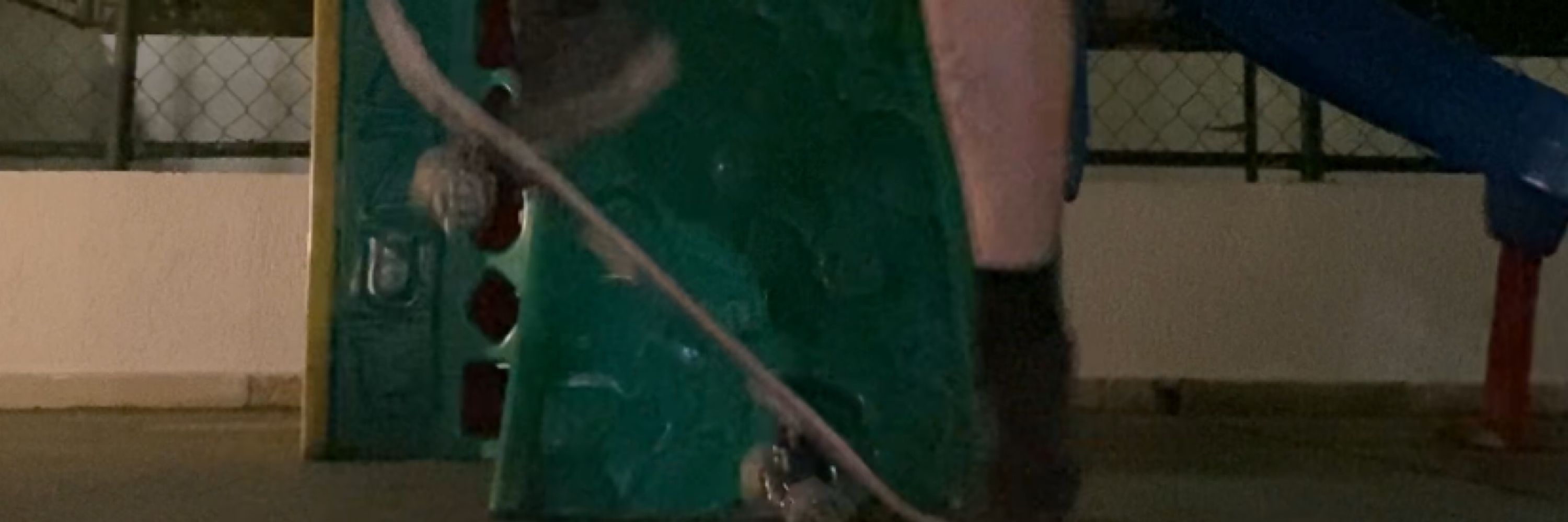 meneguettinho