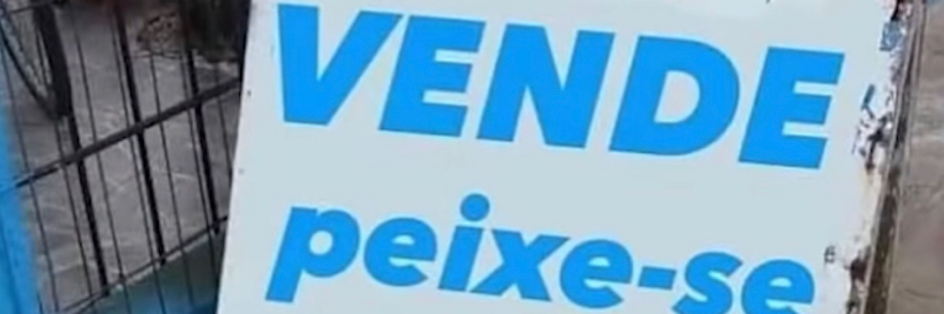 ⭕️seis e ônibus