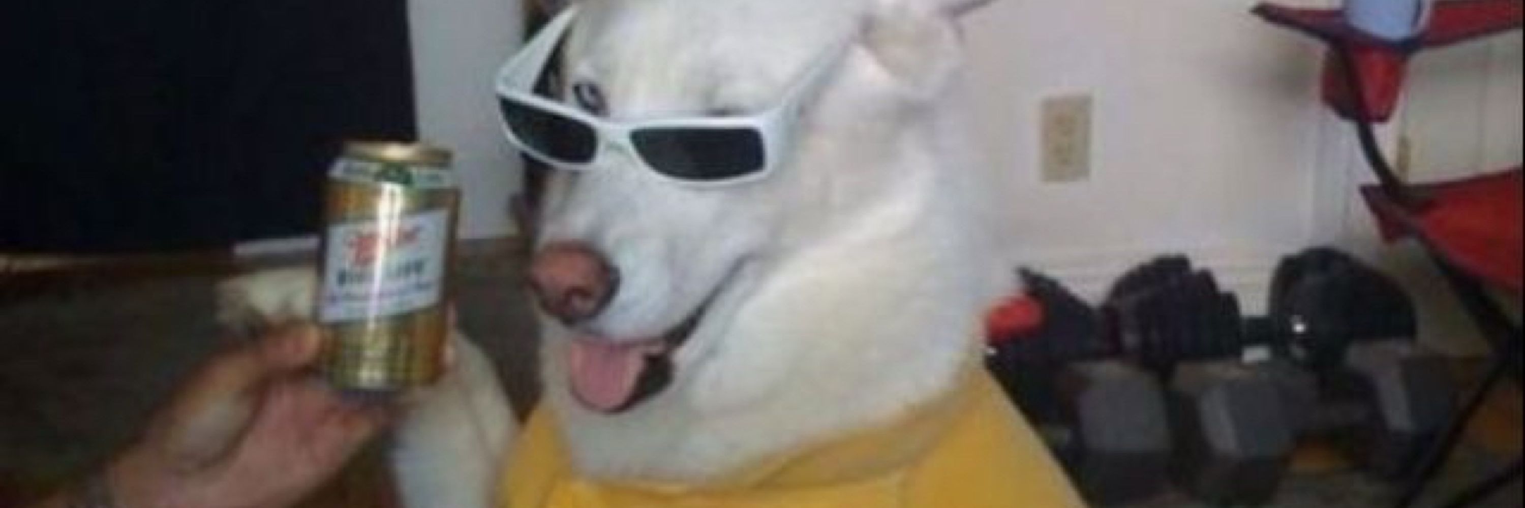 buna 