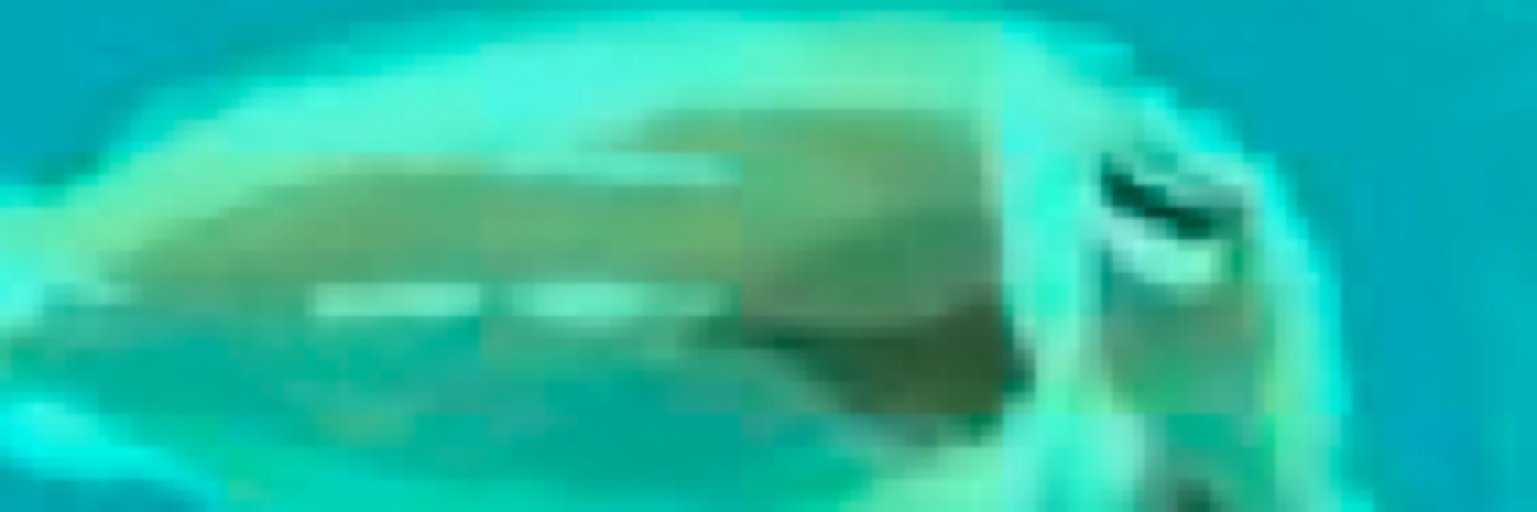 うらにわ
