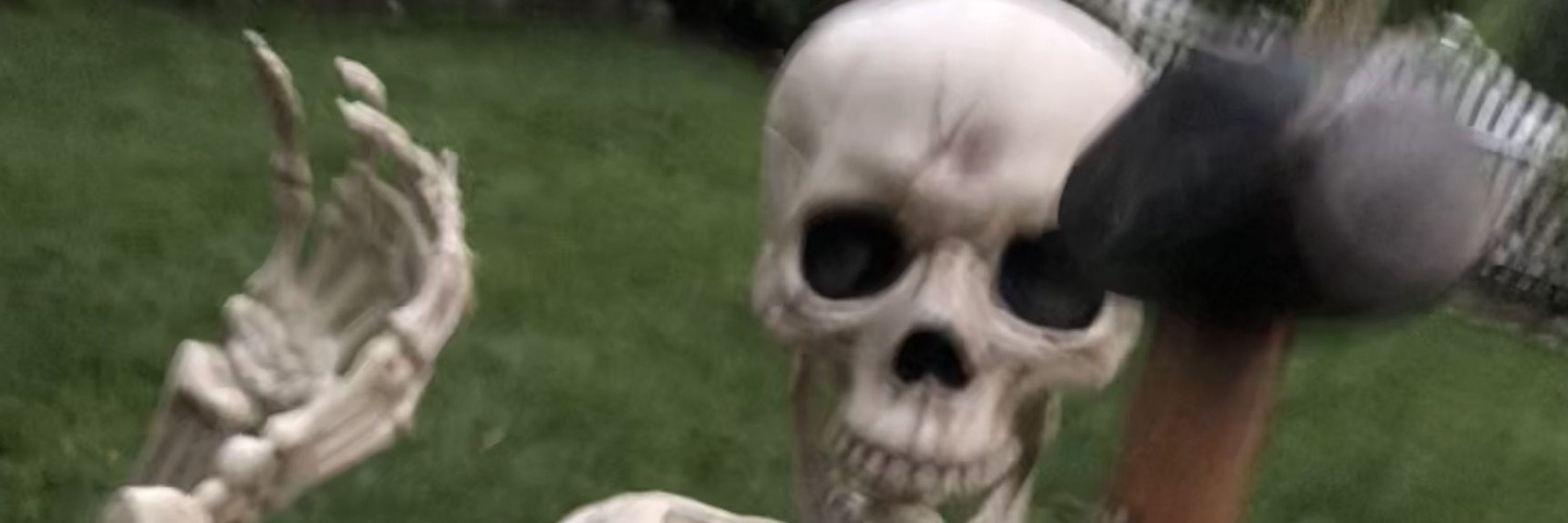 The-Bone-Thief
