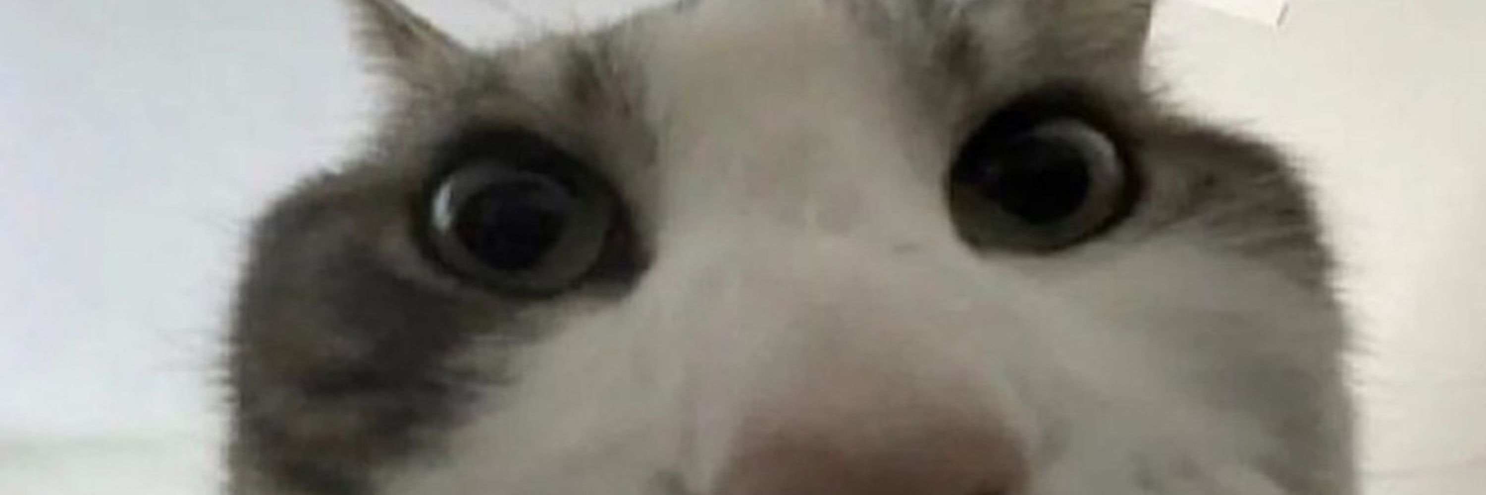 owoer