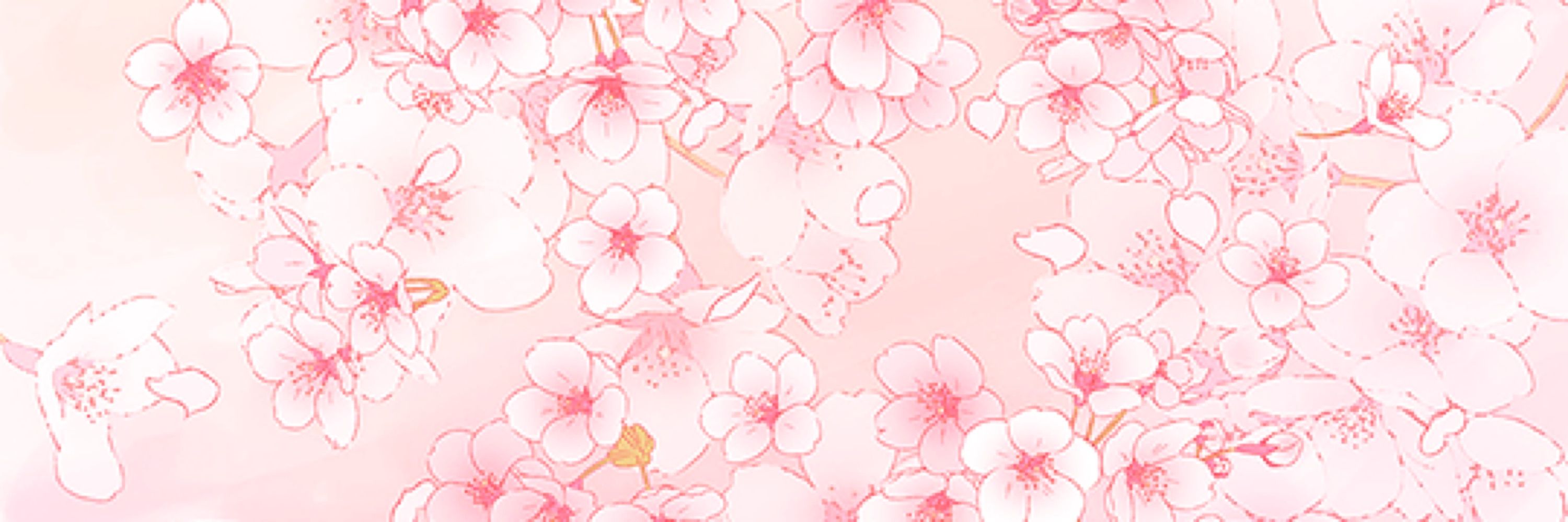 🌸 𝐸𝓇𝒾𝓀𝒶 🌸