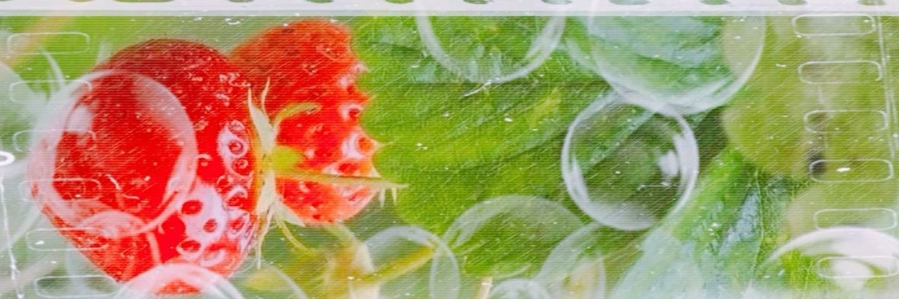 em 🍓