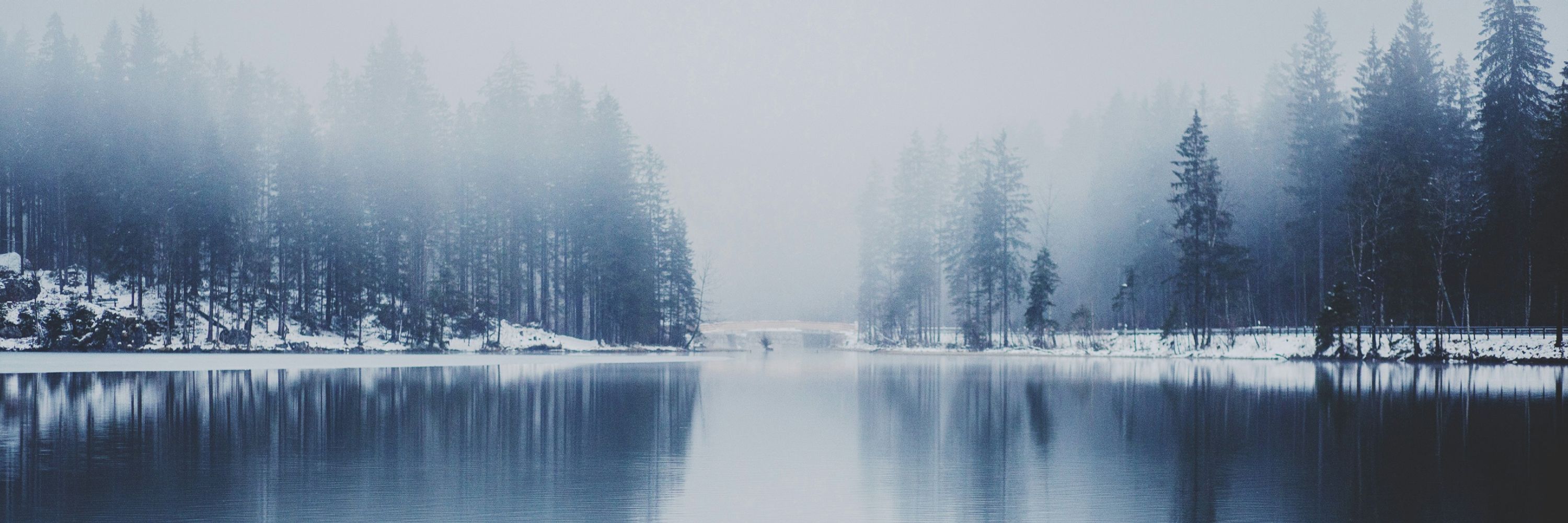 Emily ❄️