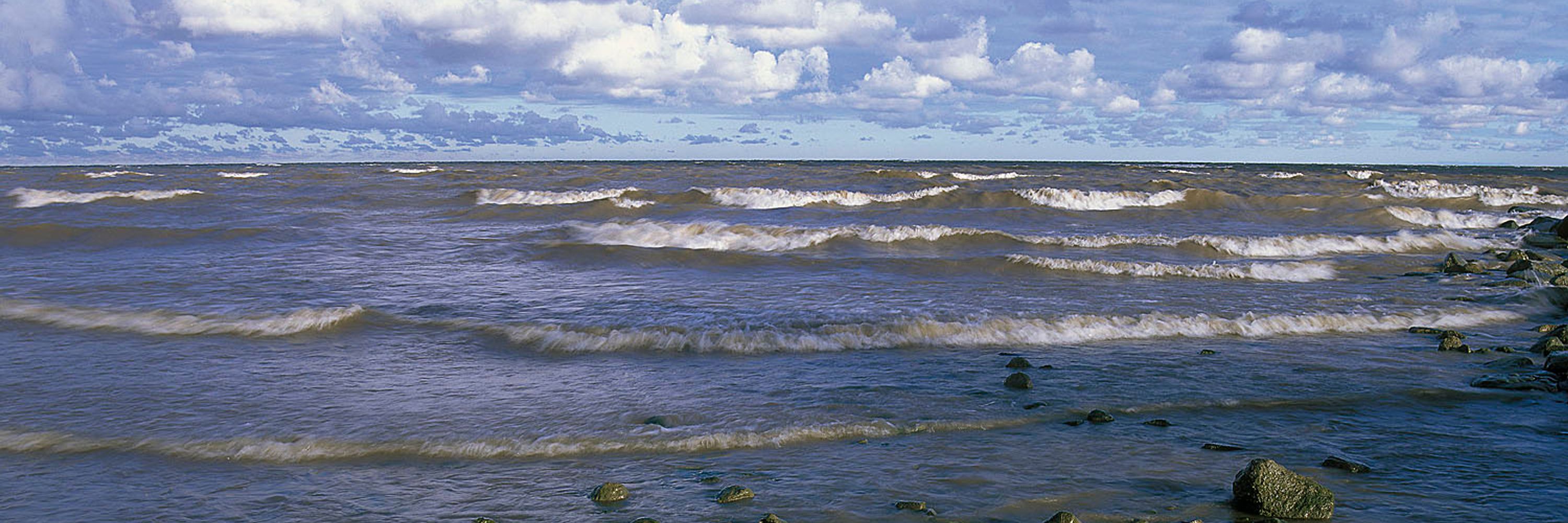 David Beach