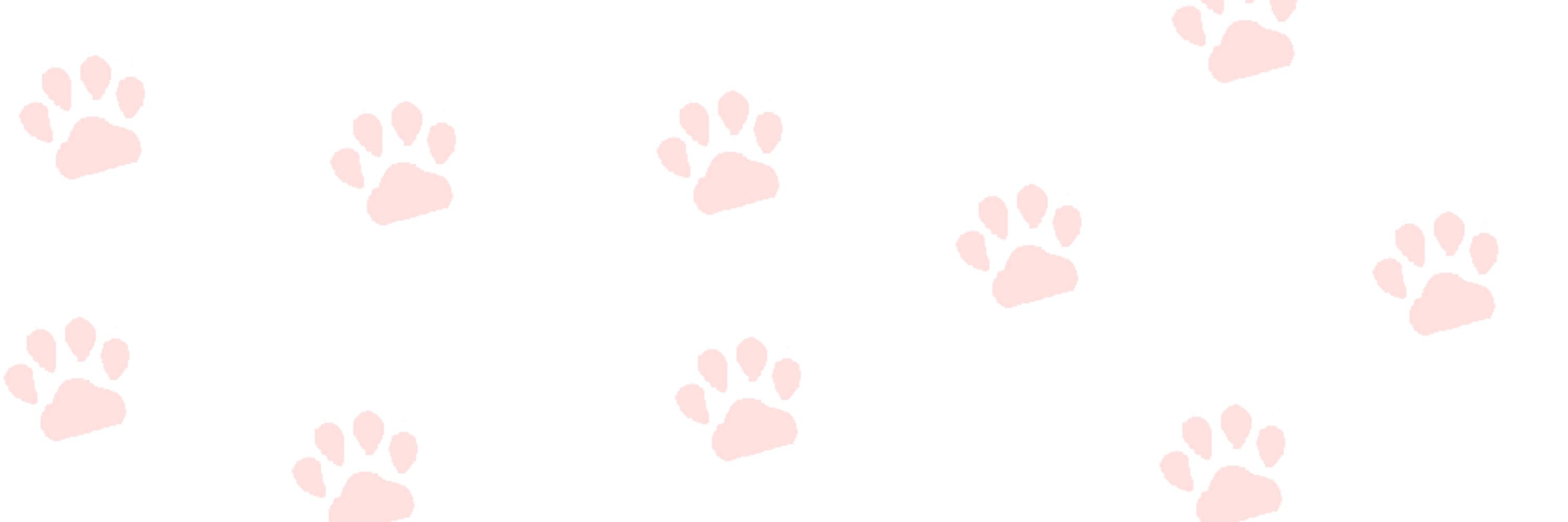 雑学🐾CatBot