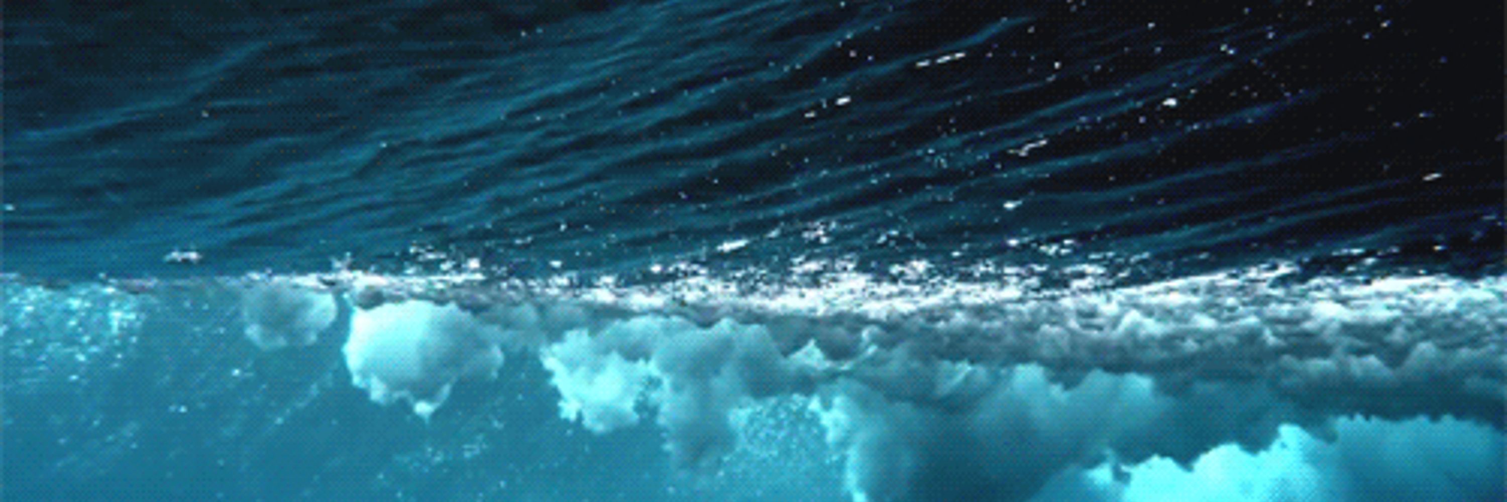 🌊Mira Ocean