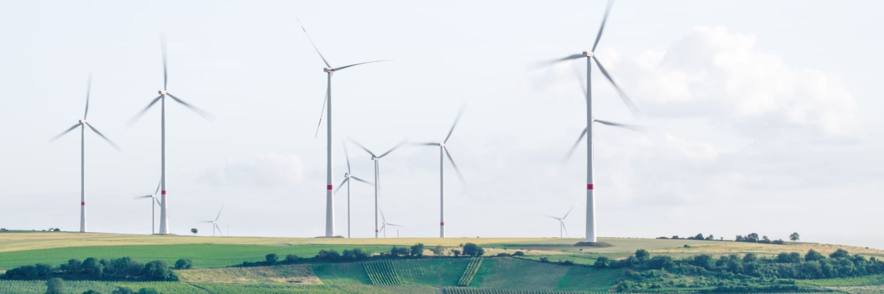 Oxford Climate Research Network