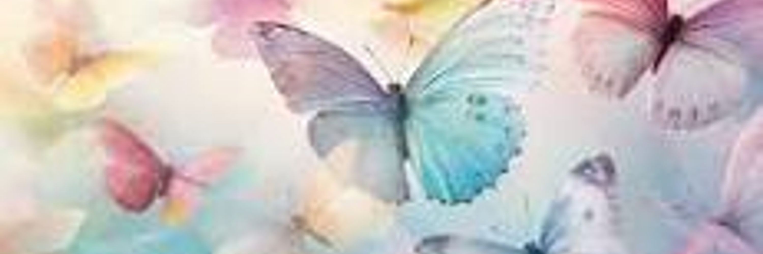 Ann 🦋 🙏🦘