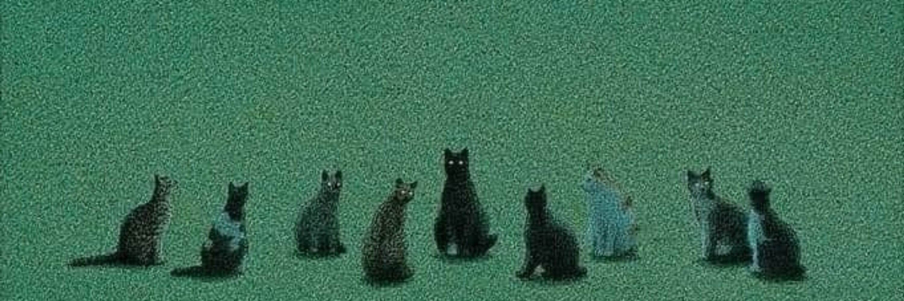 VcrowCat