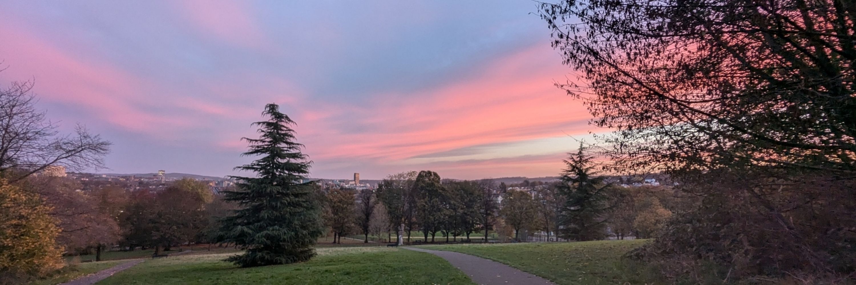 Sheffield Park Project