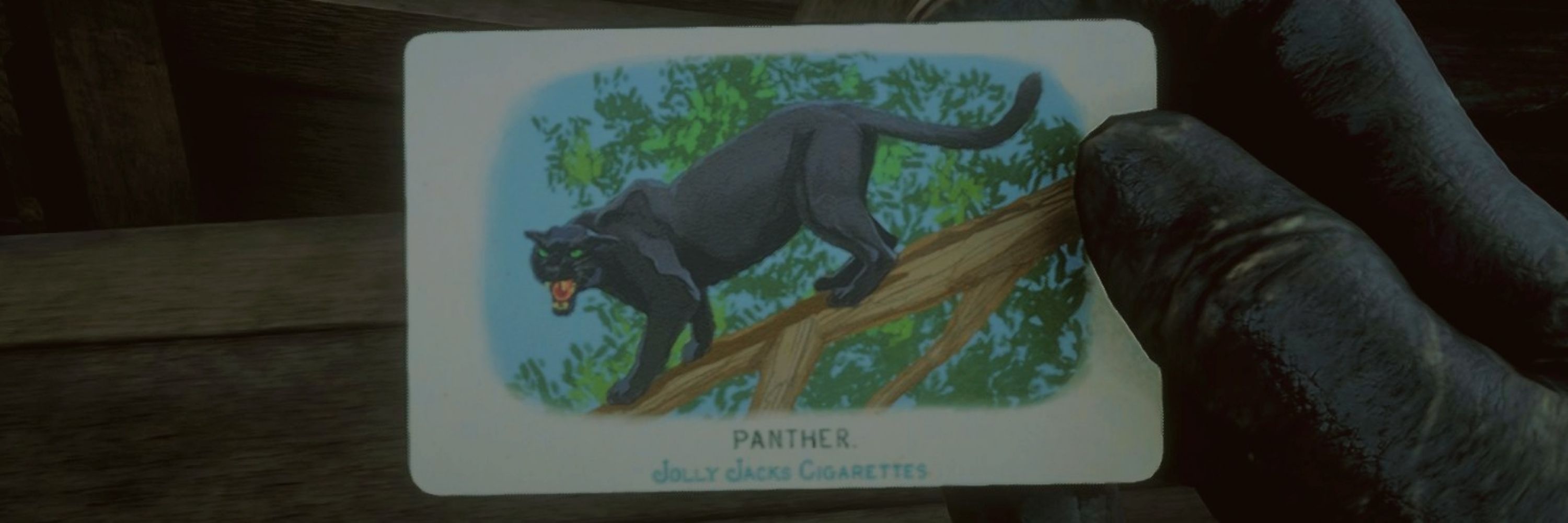 🐾Panther*🐾