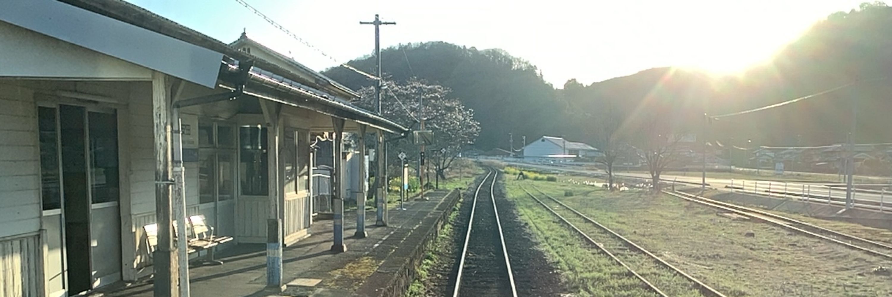 みやこ