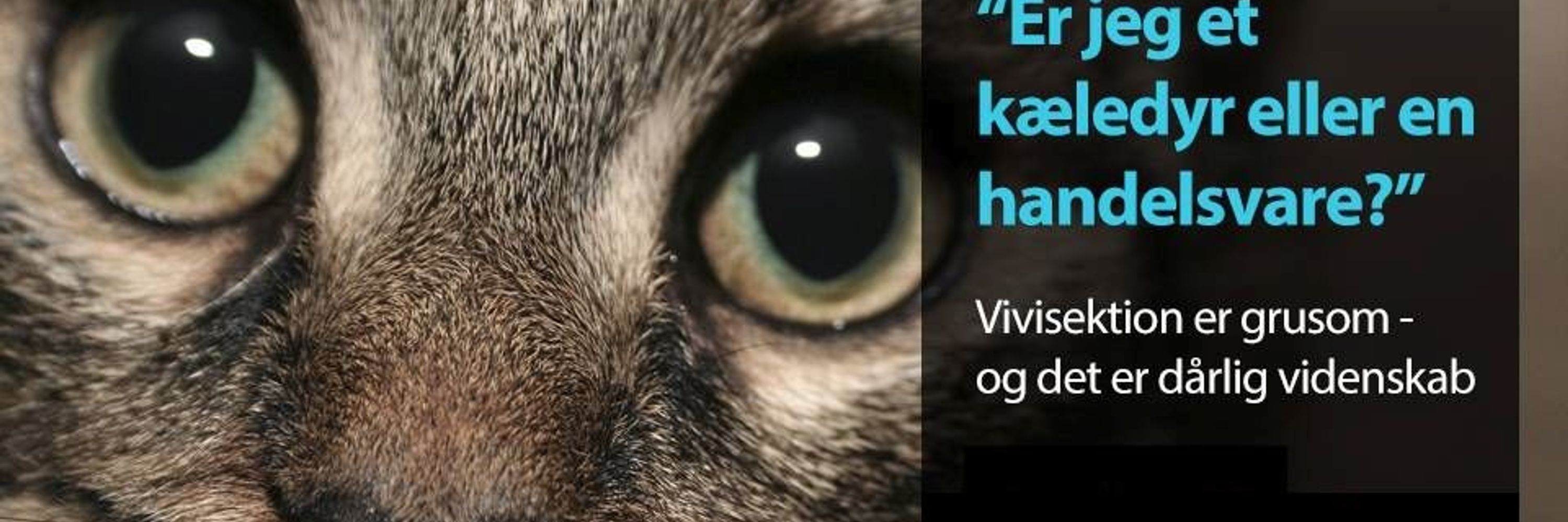 Stop Vivisektion Danmark