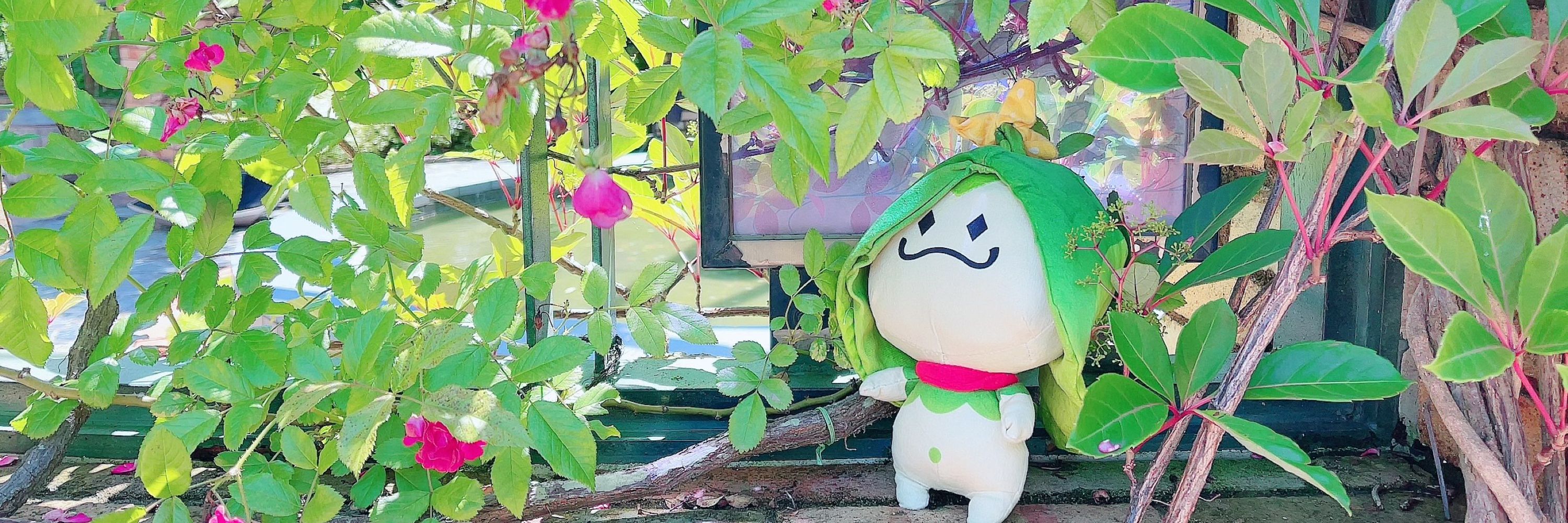 らみ