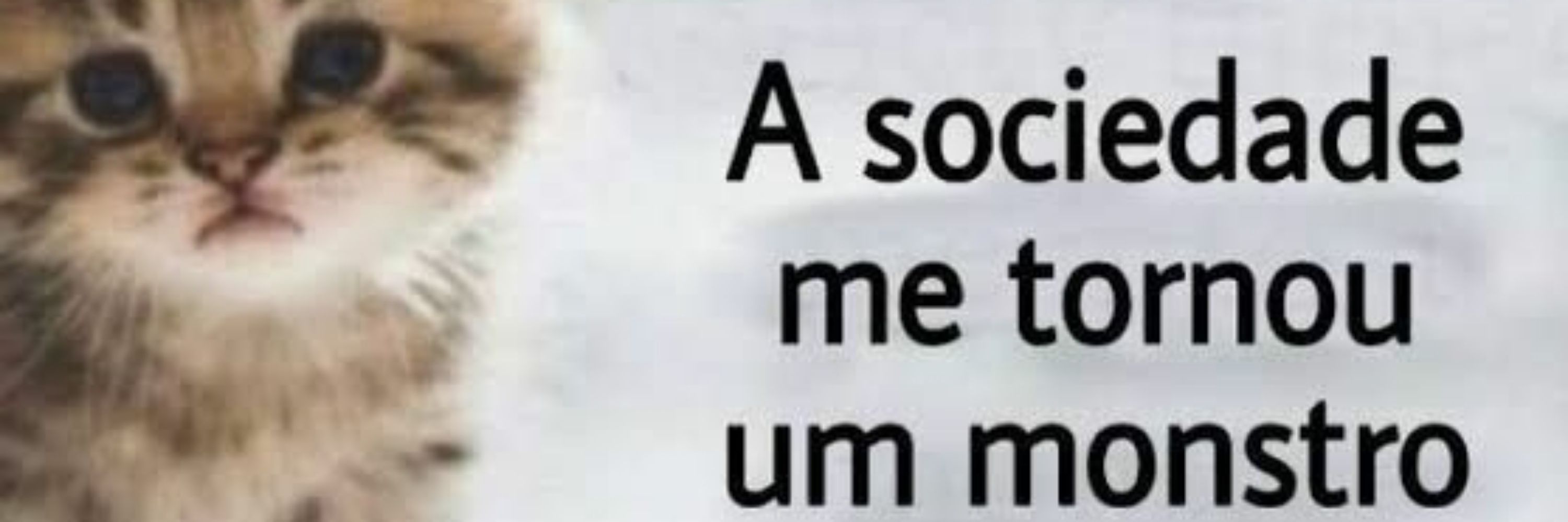 Napo 