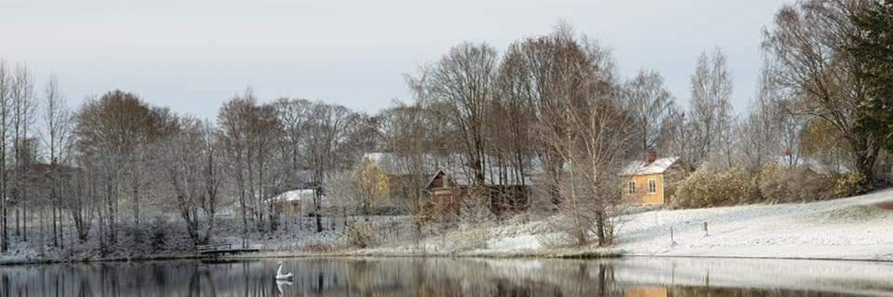 Juha Mäkinen