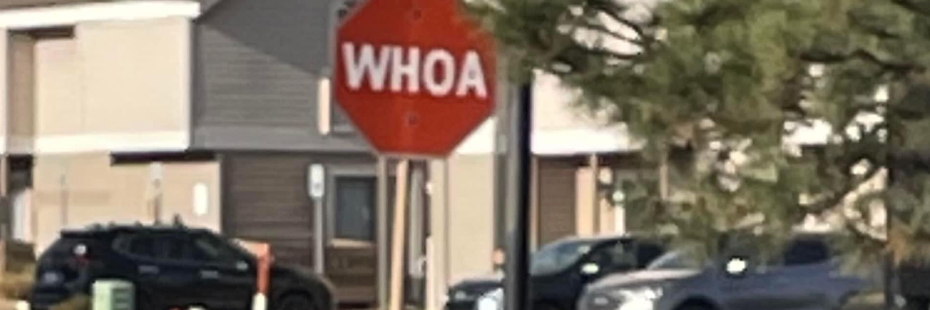 Ugh