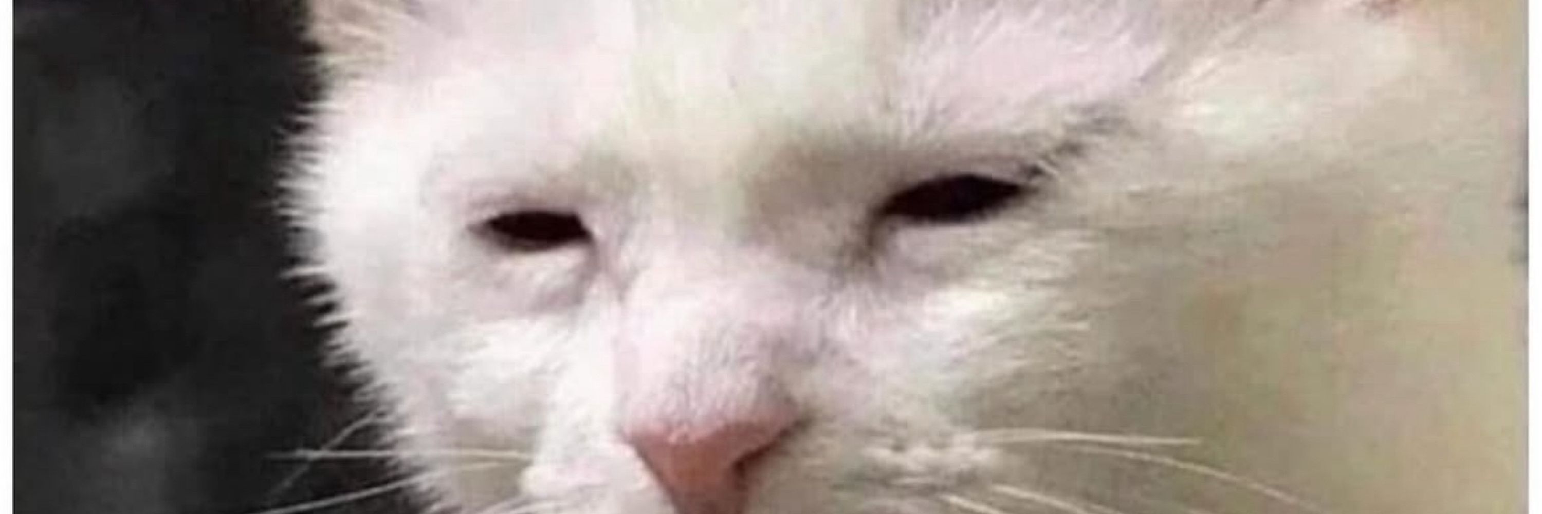 KUROGE