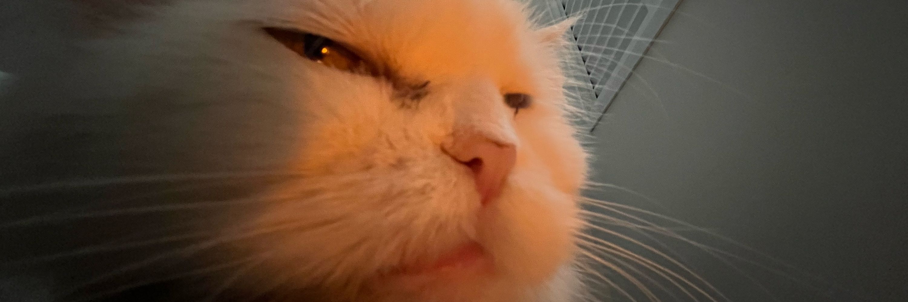ᵖᵒᵗᵉᵗᵒ