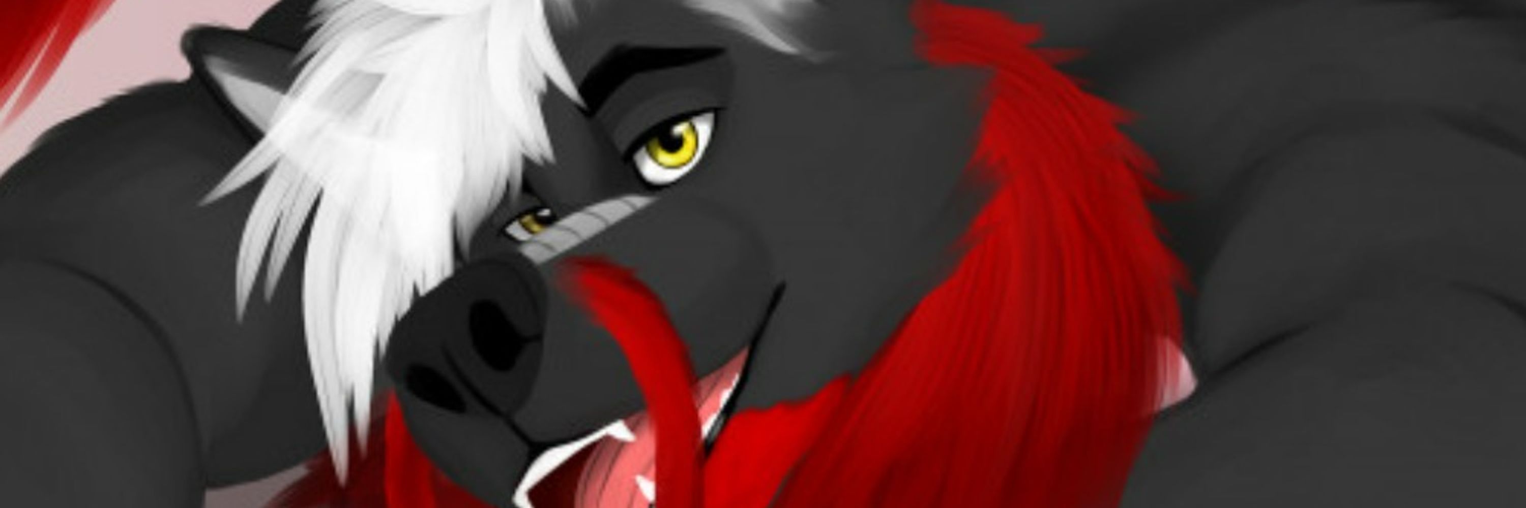 Dravalon Wolf