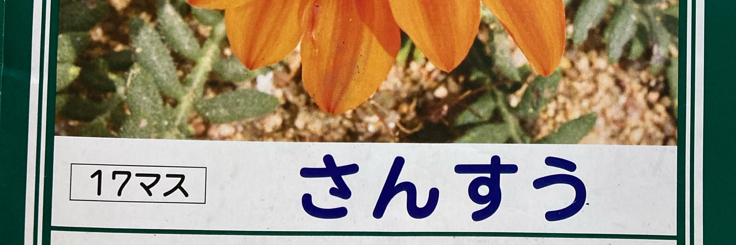はとか