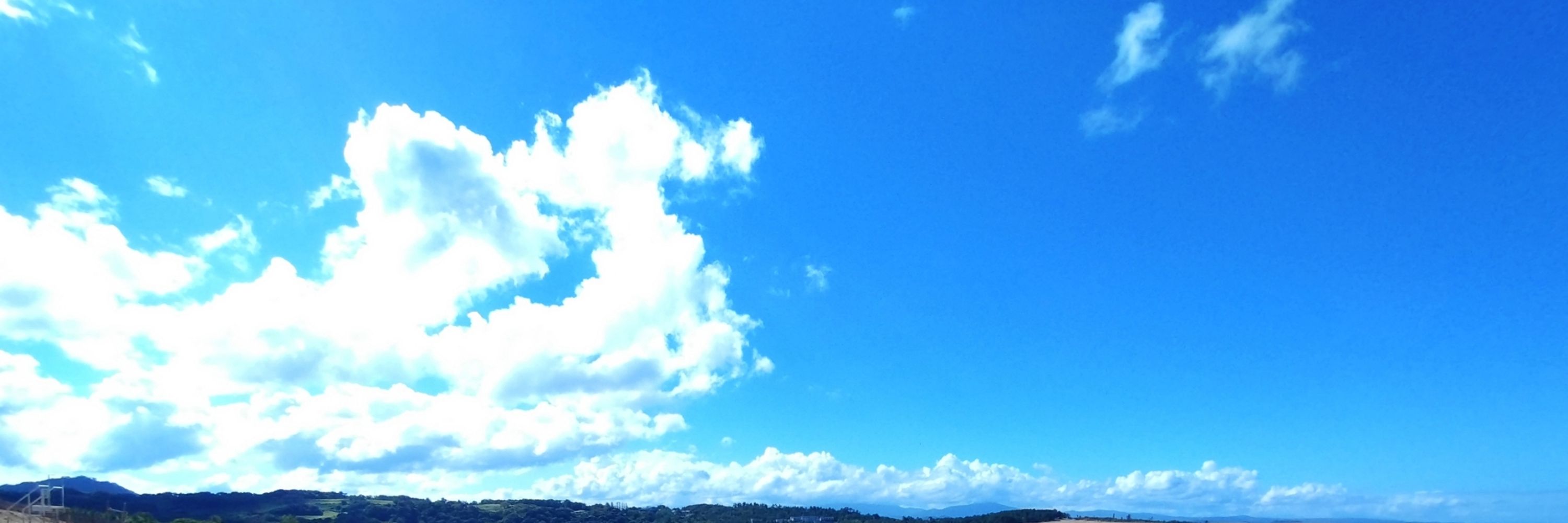 ねくたる